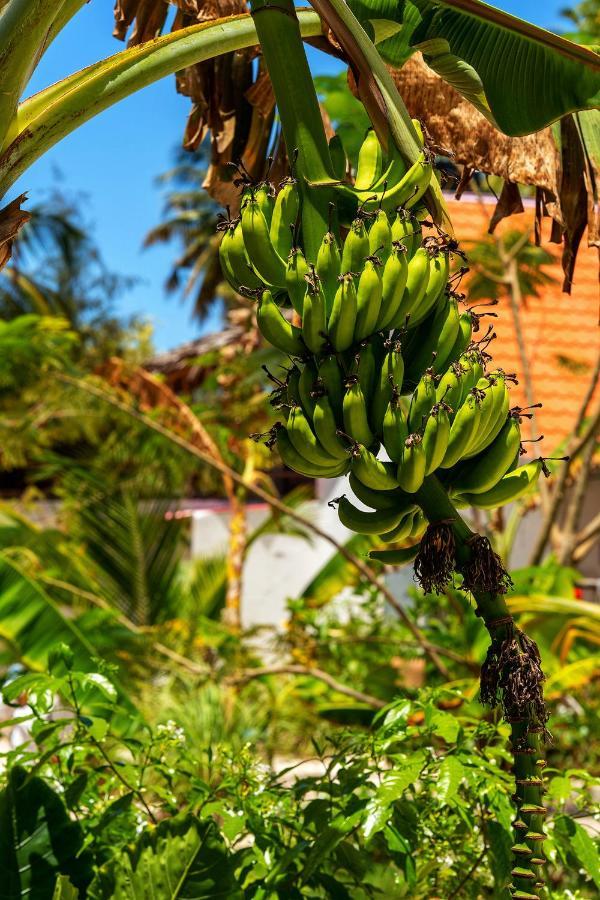 Heart Of Zanzibar Bungalows Паже Екстериор снимка